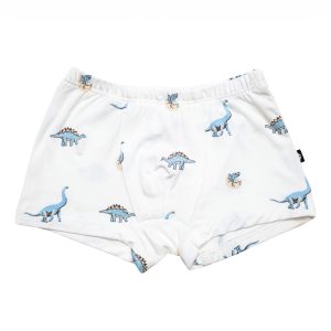 Briefs in Jurassic
