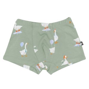 Briefs in Silly Goose