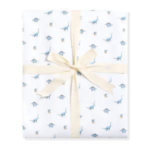 Youth Blanket in Jurassic 1.0
