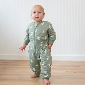 Cozy Playsuit in Silly Goose
