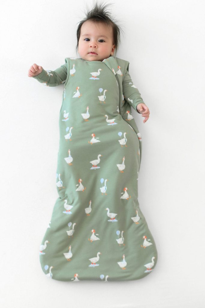 Sleep Bag in Silly Goose 1.0