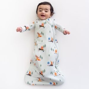 Sleep Bag in Winnie the Pooh Hundred Acre Wood 1.0