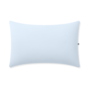 Toddler Pillowcase in Breeze